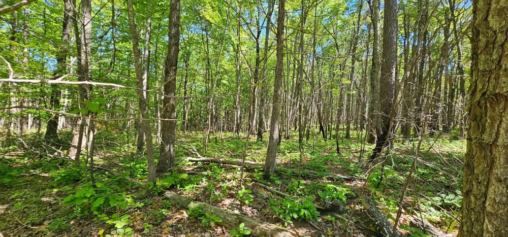 0 Bluffview Dr Dunlap, TN 37327