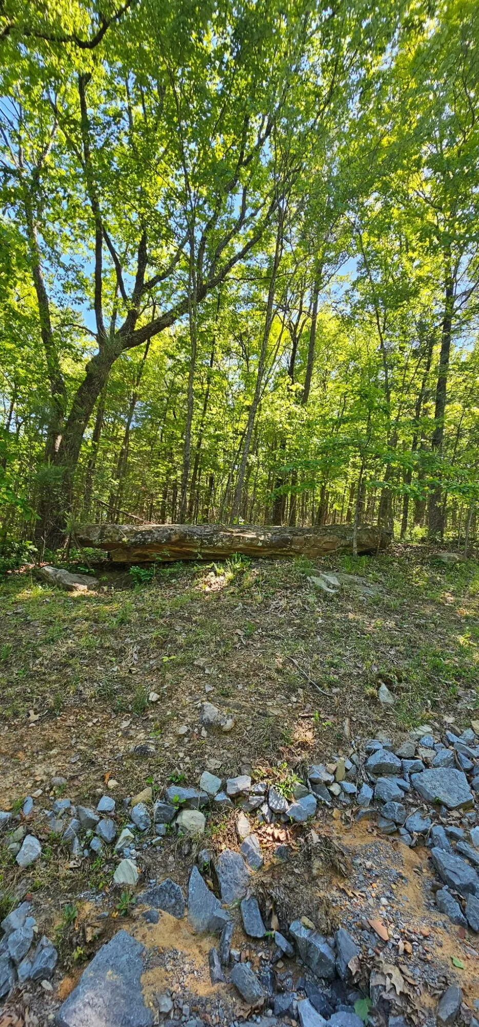 0 Bluffview Dr Dunlap, TN 37327