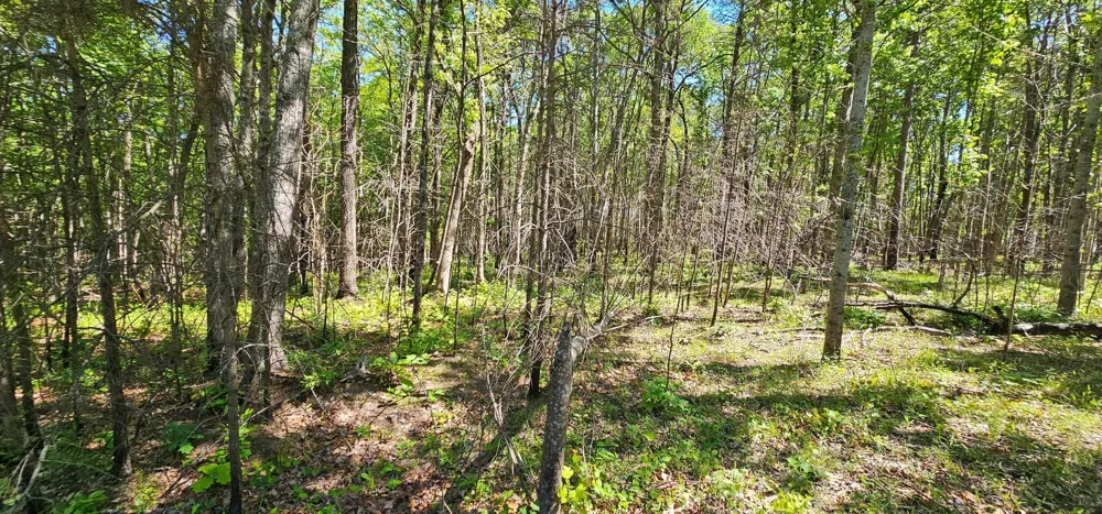 0 Bluffview Dr Dunlap, TN 37327