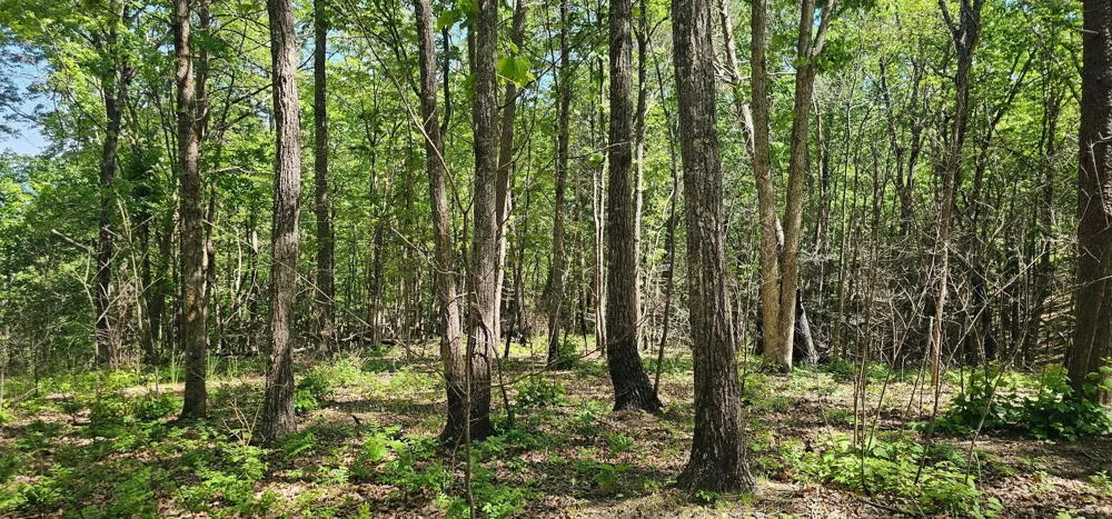 0 Bluffview Dr Dunlap, TN 37327