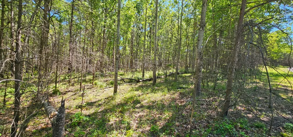 0 Bluffview Dr Dunlap, TN 37327