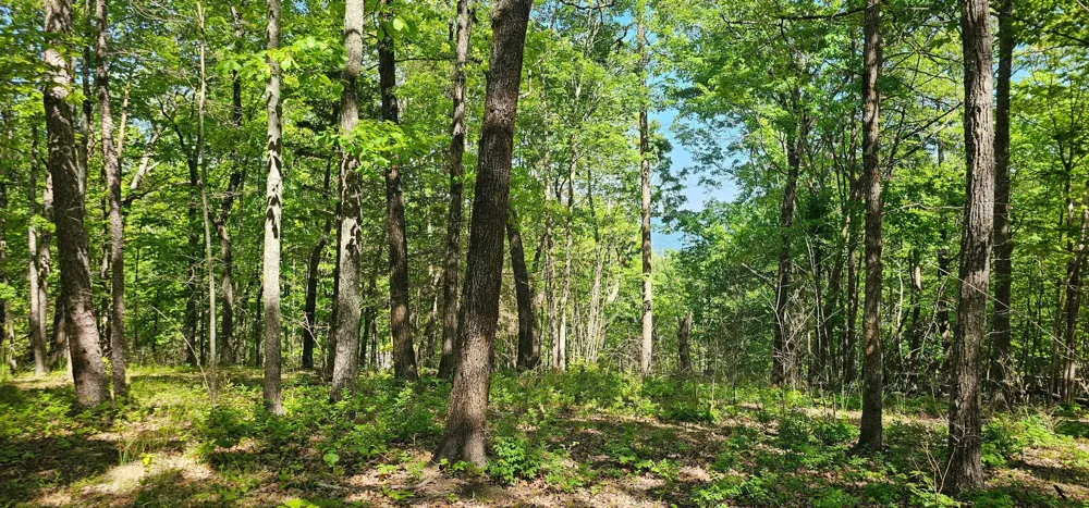 0 Bluffview Dr Dunlap, TN 37327