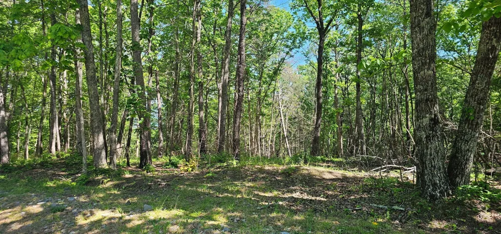 0 Bluffview Dr Dunlap, TN 37327