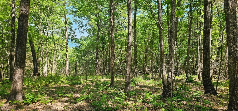 0 Bluffview Dr Dunlap, TN 37327