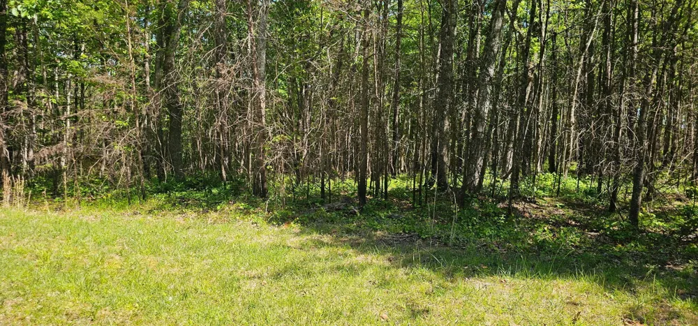 0 Bluffview Dr Dunlap, TN 37327