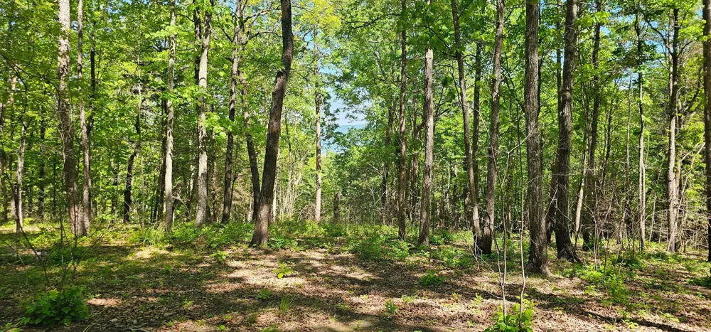 0 Bluffview Dr Dunlap, TN 37327