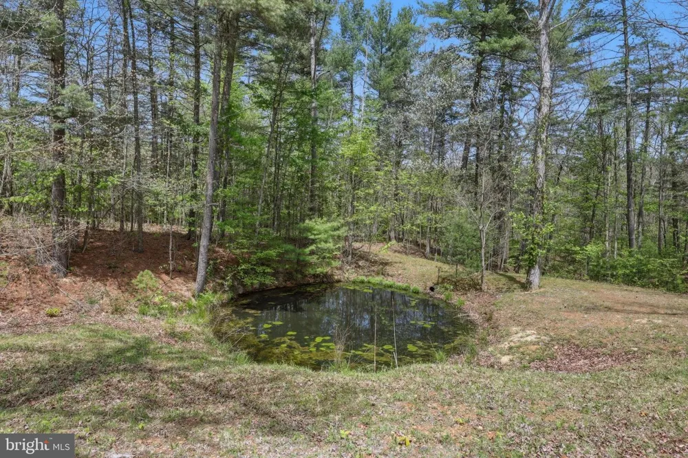 839 LAKE FERNDALE Springfield, WV 26763