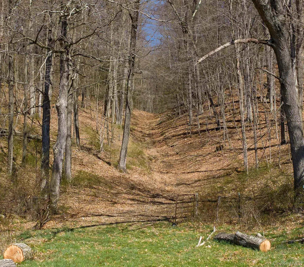 21-23 Tinker Town Road Dover Plains, NY 12522