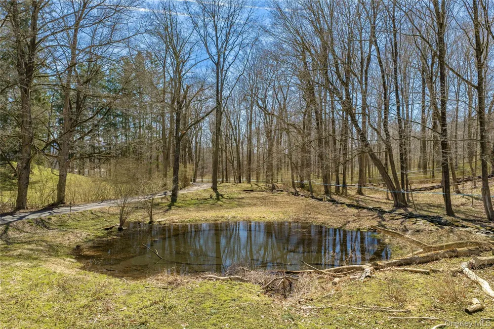 21-23 Tinker Town Road Dover Plains, NY 12522