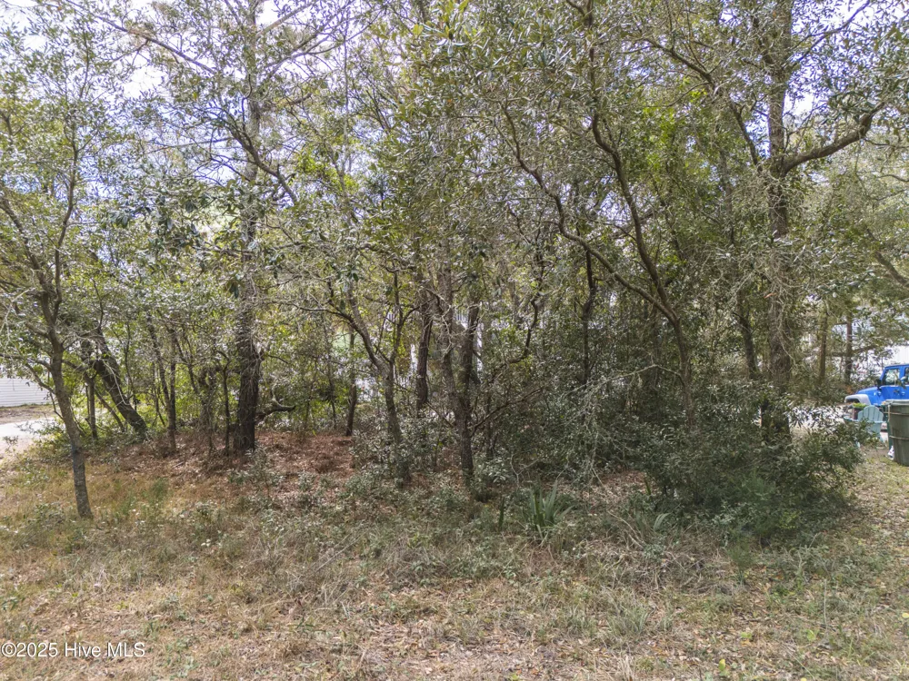 218 Water Oak Circle Kure Beach, NC 28449