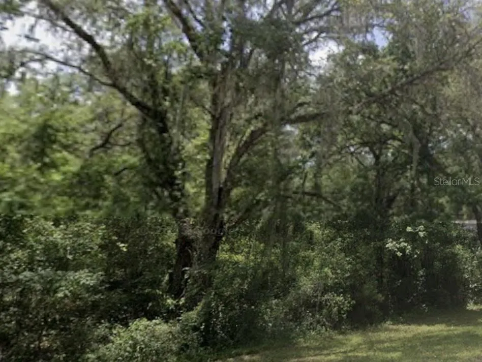 LAKE LINDSEY ROAD Nobleton, FL 34661