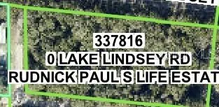 LAKE LINDSEY ROAD Nobleton, FL 34661