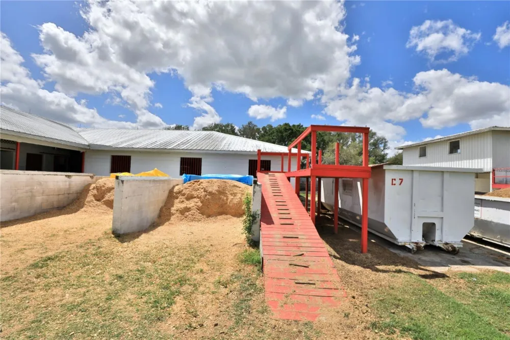 4450 SE 216TH AVENUE #Option 2 Morriston, FL 32668