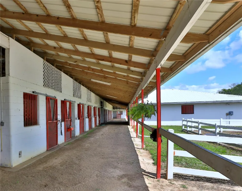 4450 SE 216TH AVENUE #Option 2 Morriston, FL 32668