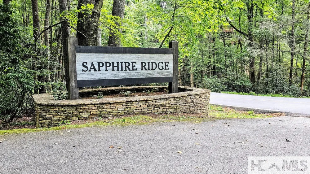 305 Easy Springs Road Sapphire, NC 28774