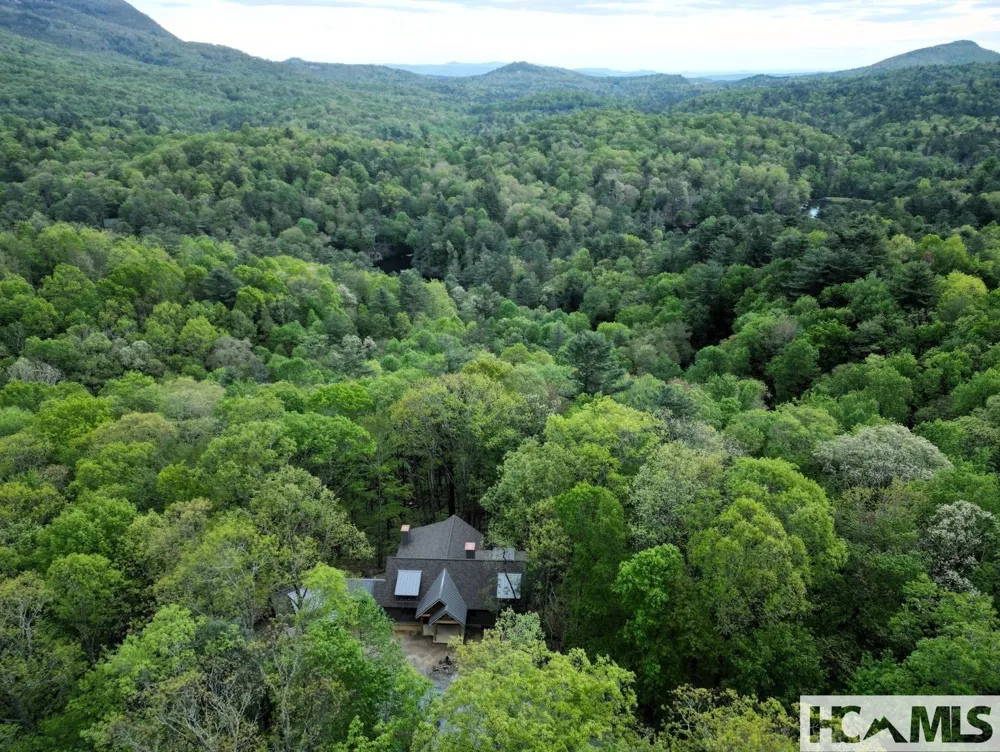 305 Easy Springs Road Sapphire, NC 28774