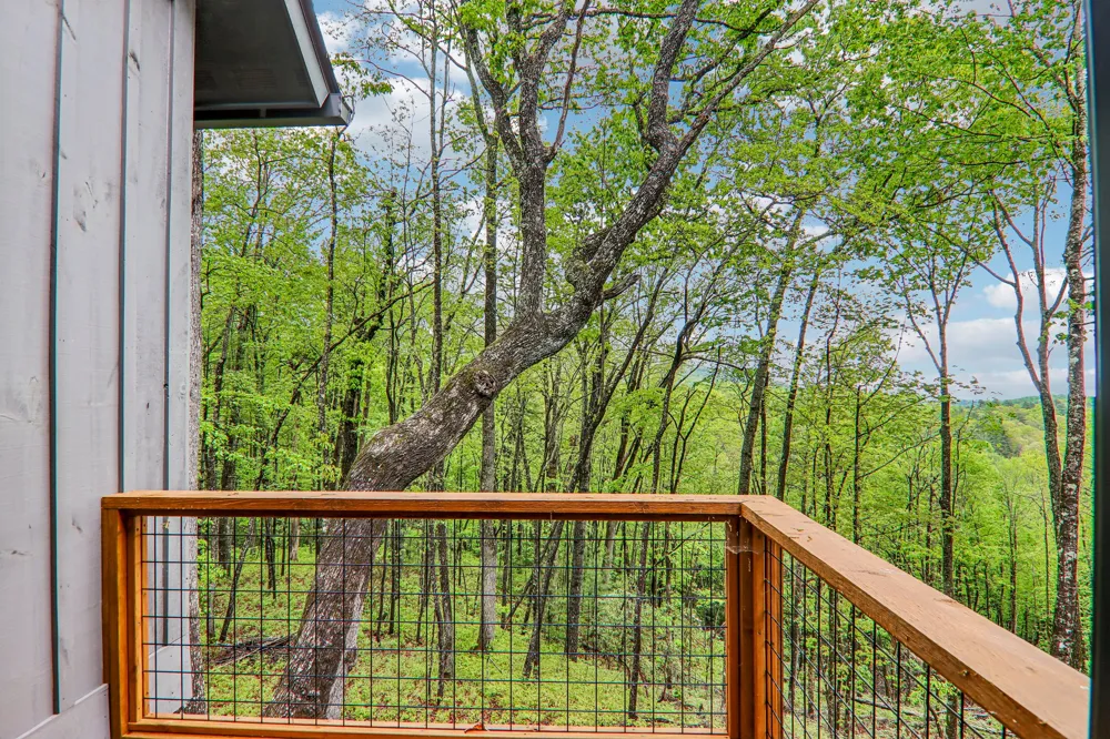 305 Easy Springs Road Sapphire, NC 28774