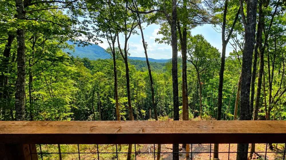 305 Easy Springs Road Sapphire, NC 28774