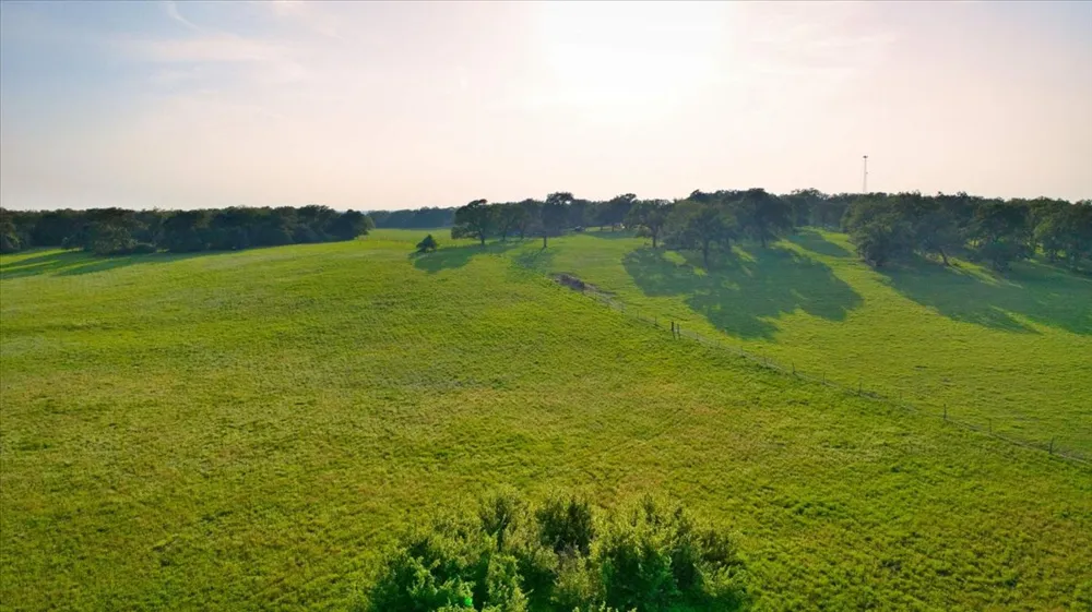2095 County Road 442 Thrall, TX 76578