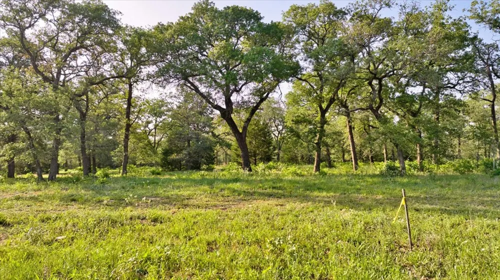 2095 County Road 442 Thrall, TX 76578