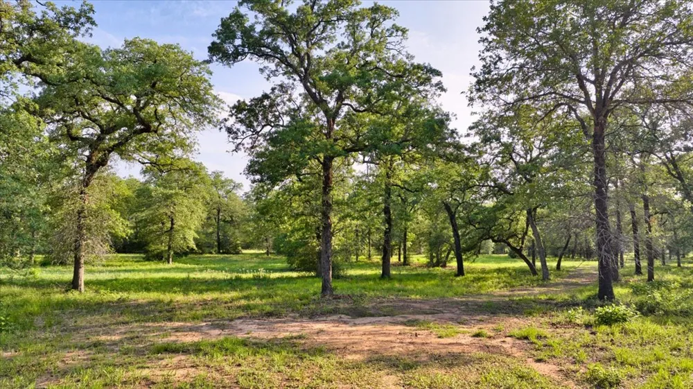 2095 County Road 442 Thrall, TX 76578