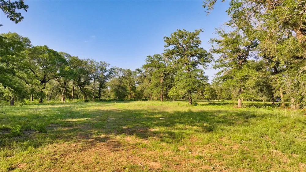 2095 County Road 442 Thrall, TX 76578