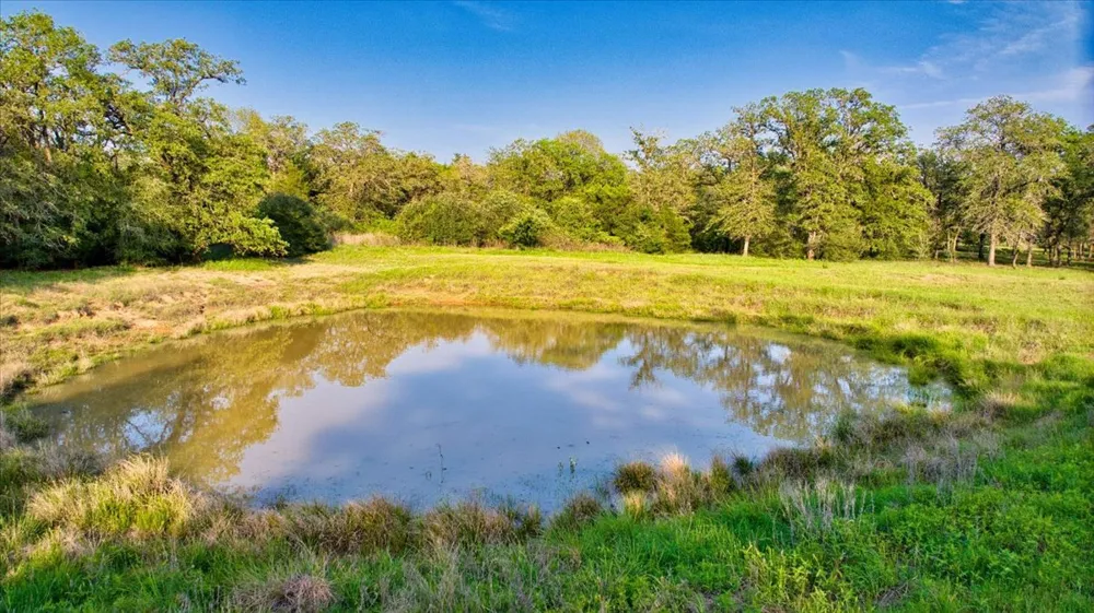 2095 County Road 442 Thrall, TX 76578