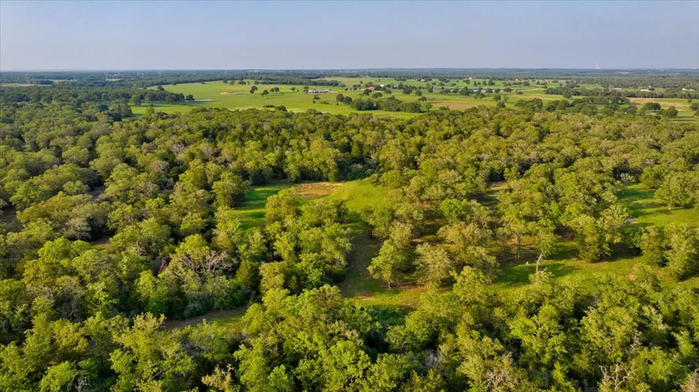 2095 County Road 442 Thrall, TX 76578