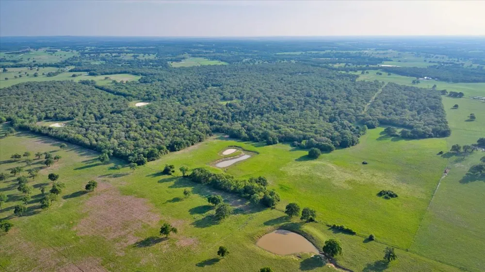 2095 County Road 442 Thrall, TX 76578