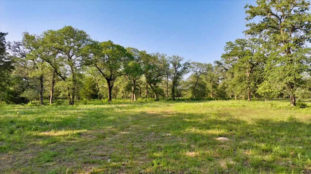 2095 County Road 442 Thrall, TX 76578