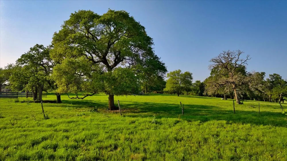 2095 County Road 442 Thrall, TX 76578