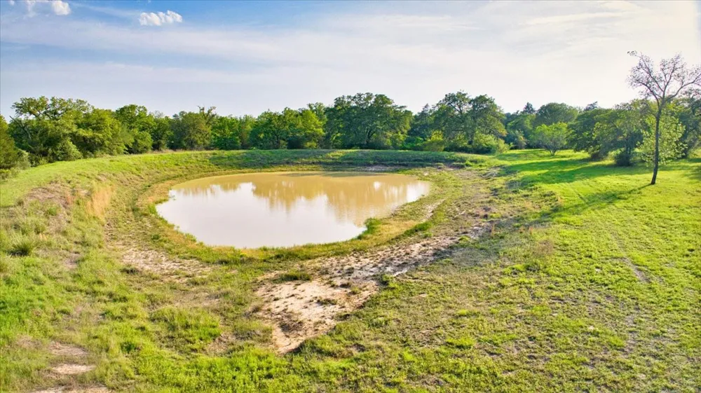 2095 County Road 442 Thrall, TX 76578