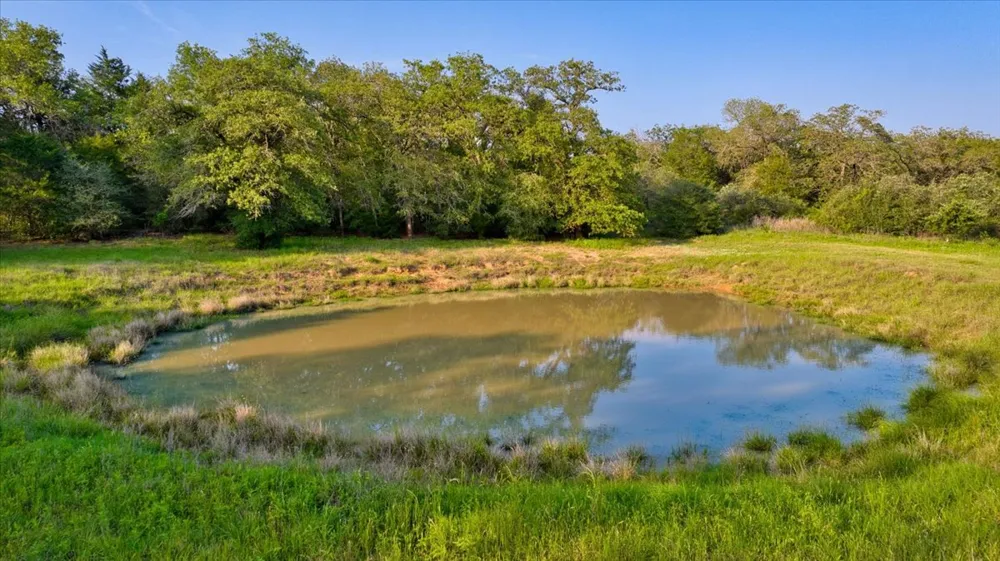 2095 County Road 442 Thrall, TX 76578