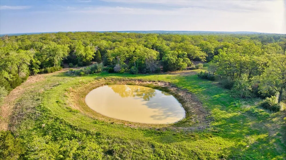 2095 County Road 442 Thrall, TX 76578
