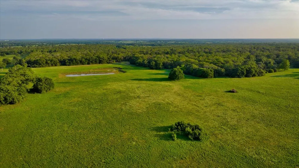 2095 County Road 442 Thrall, TX 76578