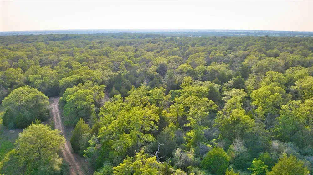 2095 County Road 442 Thrall, TX 76578