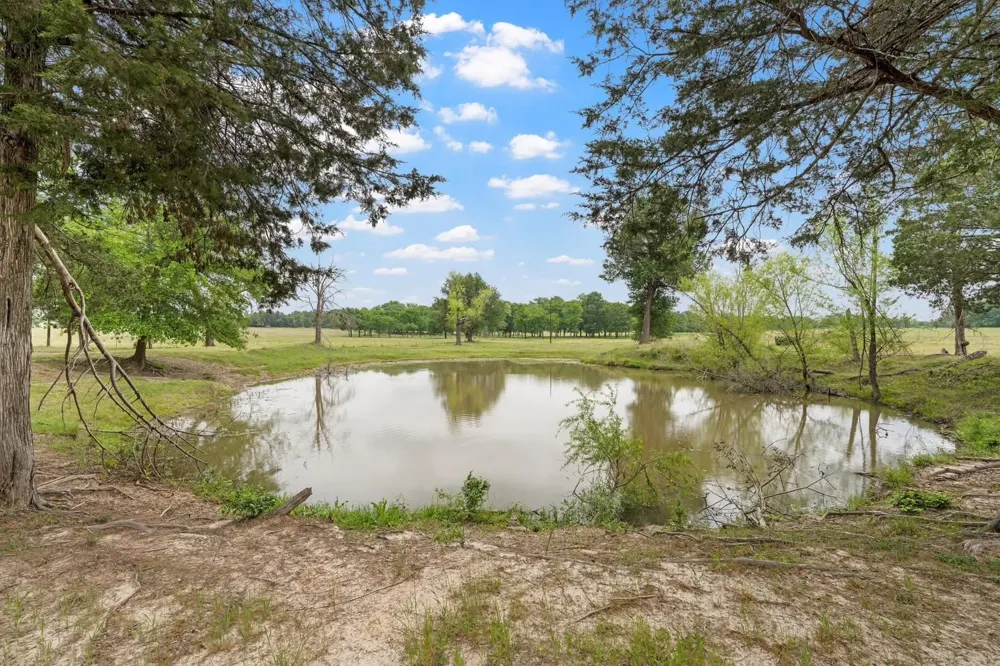 237 Lcr 711 Kosse, TX 76653
