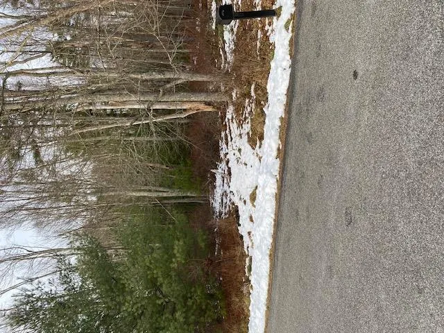 Lot 114 Old Congress Road Monticello, NY 12701