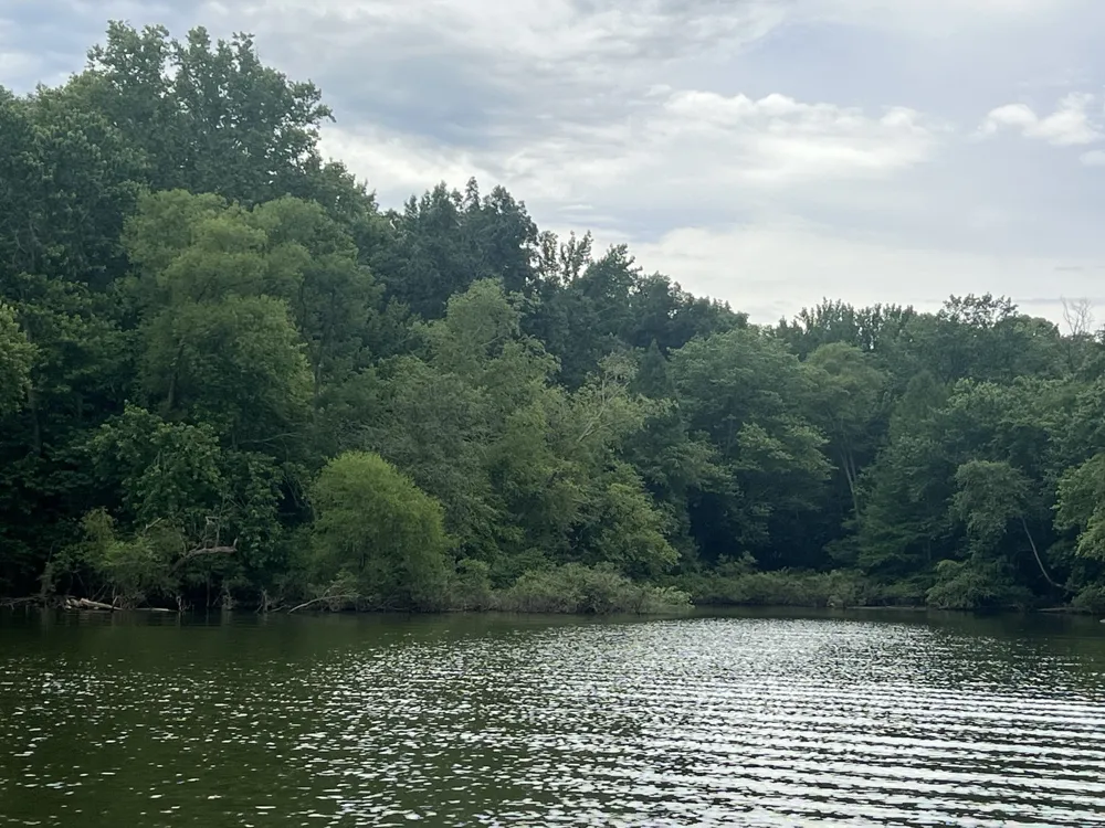 0 Beechtree Circle Stewart, TN 37175