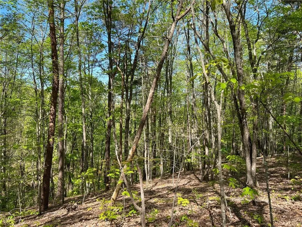 269 Appleberry Mountain Road Waleska, GA 30183