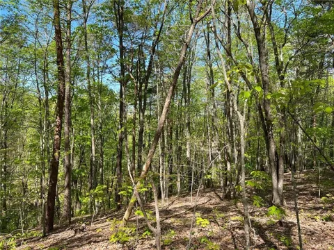 269 Appleberry Mountain Road