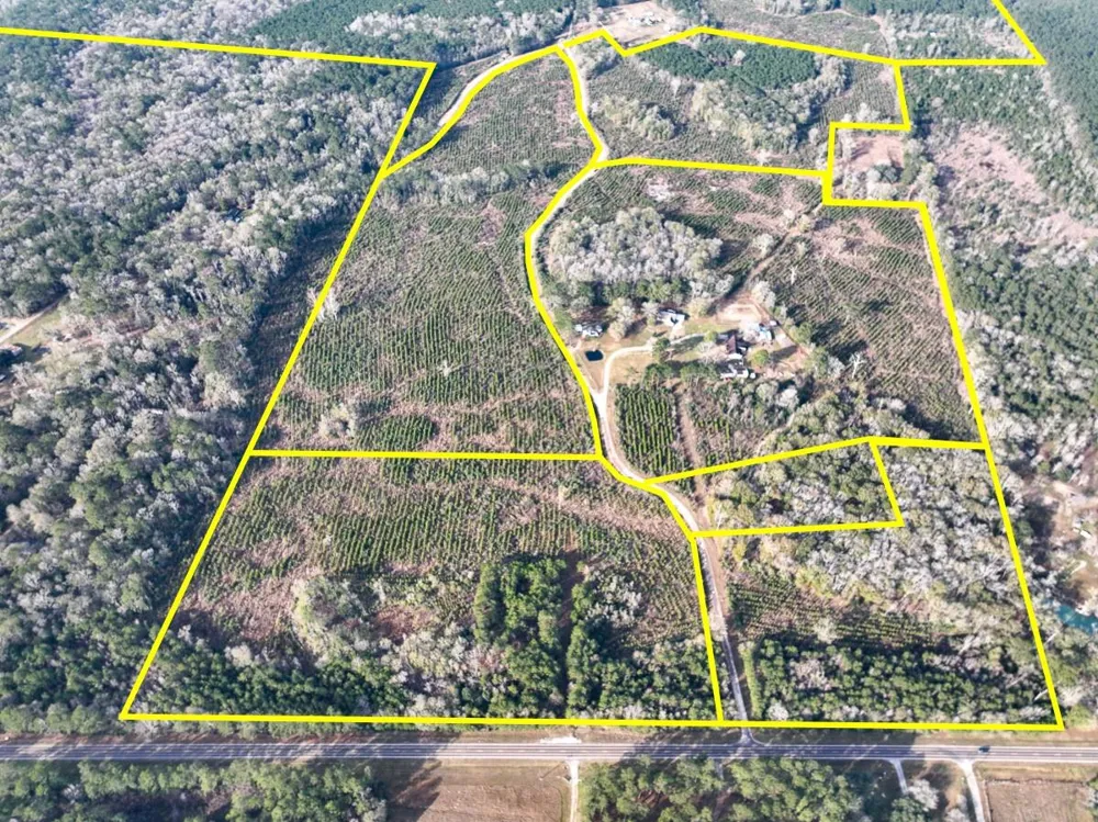 9 Fm 787 Saratoga, TX 77585