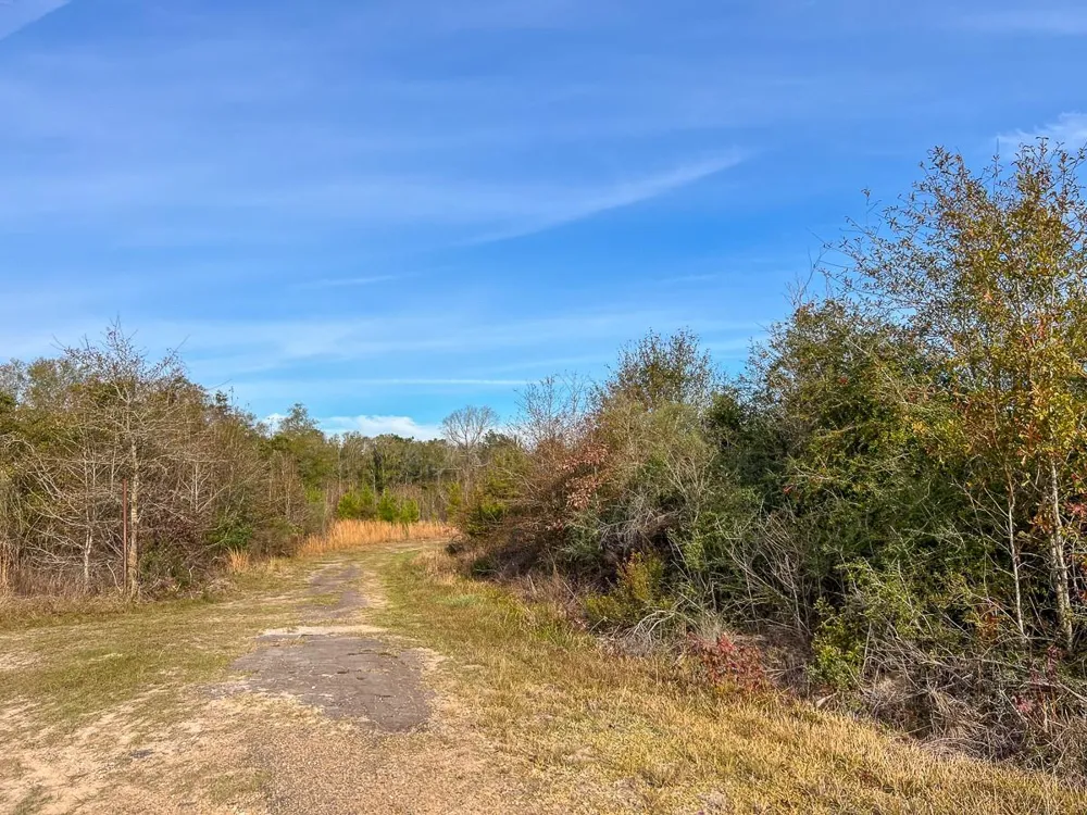 9 Fm 787 Saratoga, TX 77585