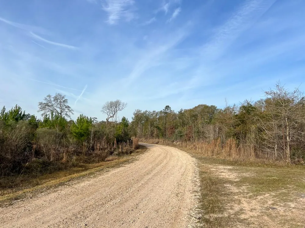 9 Fm 787 Saratoga, TX 77585