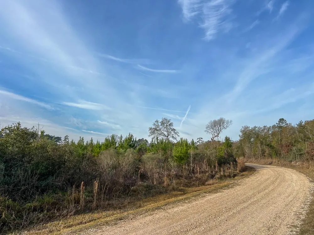 9 Fm 787 Saratoga, TX 77585