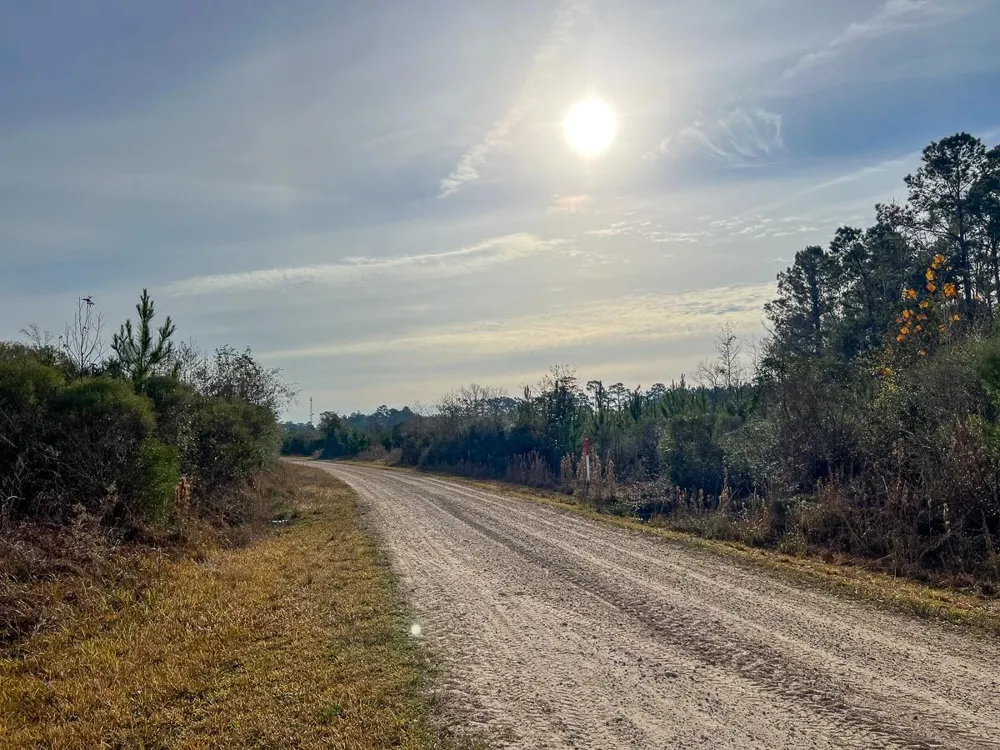 9 Fm 787 Saratoga, TX 77585