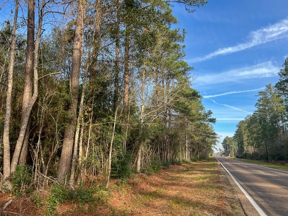 9 Fm 787 Saratoga, TX 77585