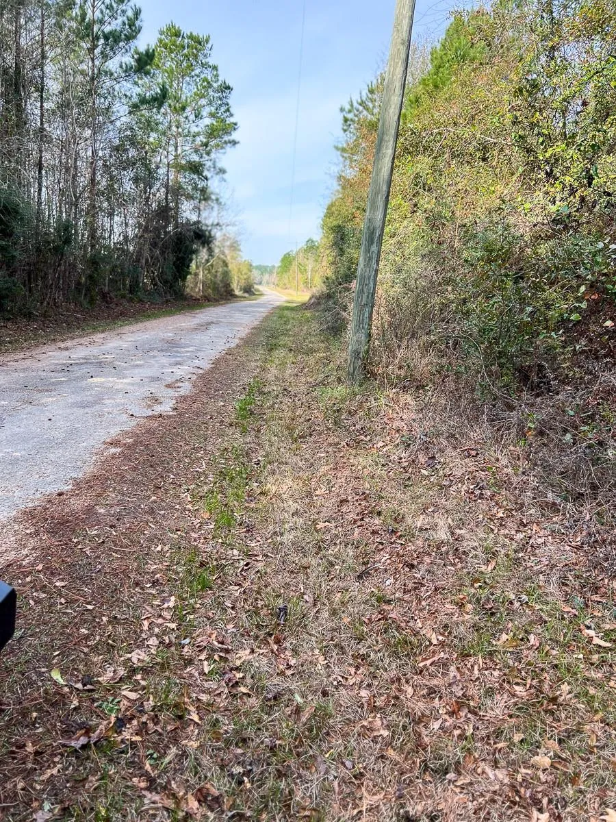 9 Fm 787 Saratoga, TX 77585