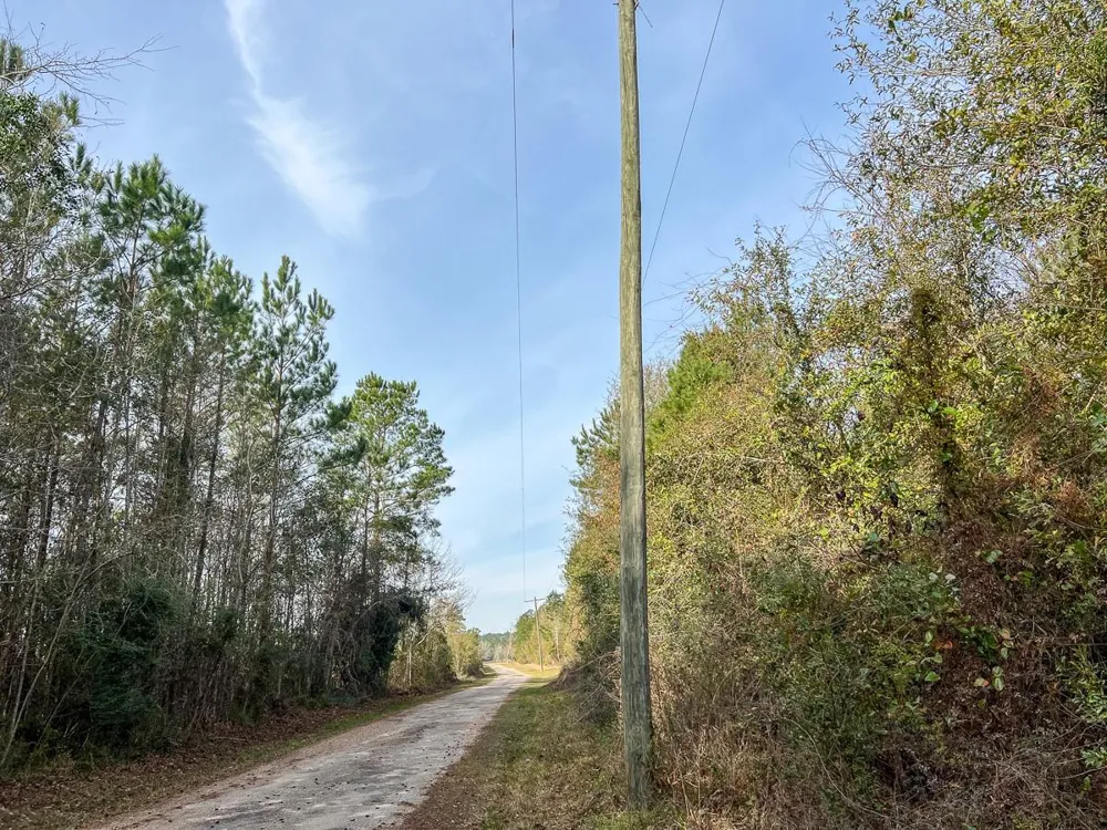 9 Fm 787 Saratoga, TX 77585
