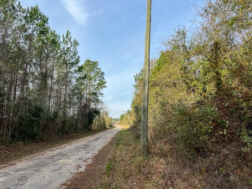 9 Fm 787 Saratoga, TX 77585